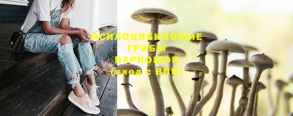 гашик Навашино