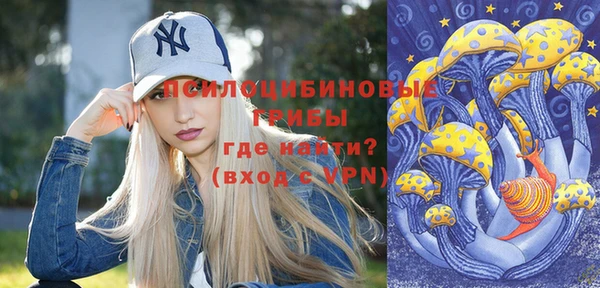 ГАЛЛЮЦИНОГЕННЫЕ ГРИБЫ Нефтегорск