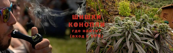 стафф Надым