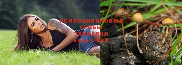 гашик Наволоки