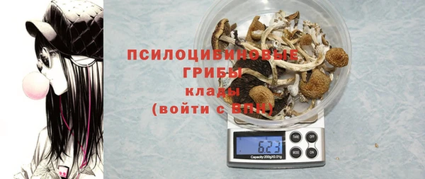 стафф Надым