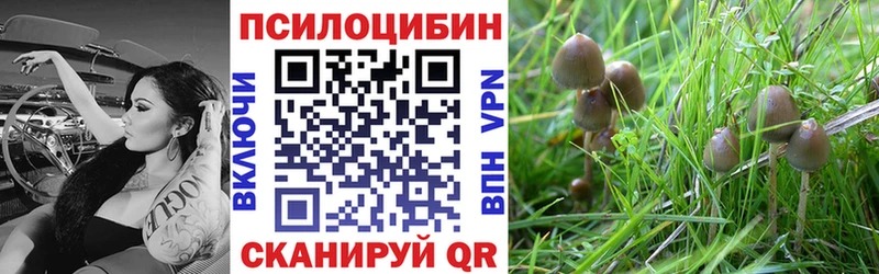 Галлюциногенные грибы мухоморы наркошоп Полярный